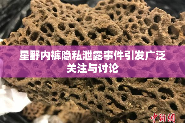 星野内裤隐私泄露事件引发广泛关注与讨论