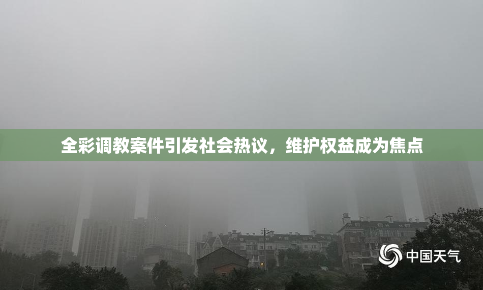 全彩调教案件引发社会热议，维护权益成为焦点