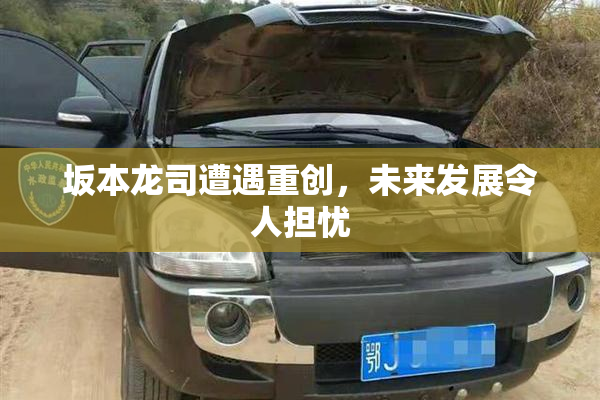坂本龙司遭遇重创，未来发展令人担忧