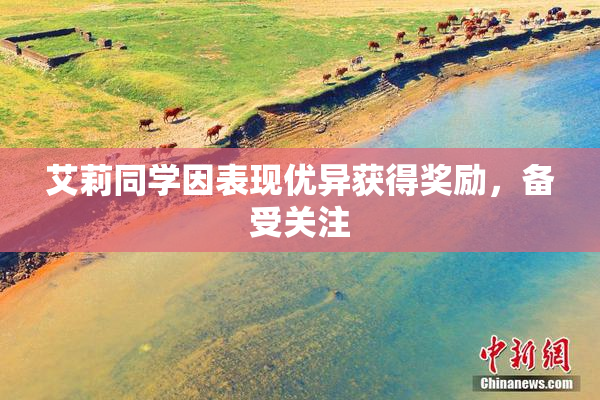 艾莉同学因表现优异获得奖励，备受关注