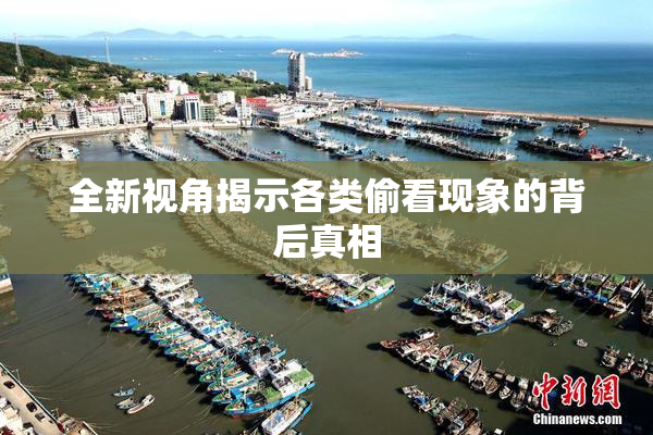 全新视角揭示各类偷看现象的背后真相