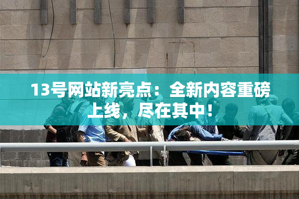 13号网站新亮点：全新内容重磅上线，尽在其中！