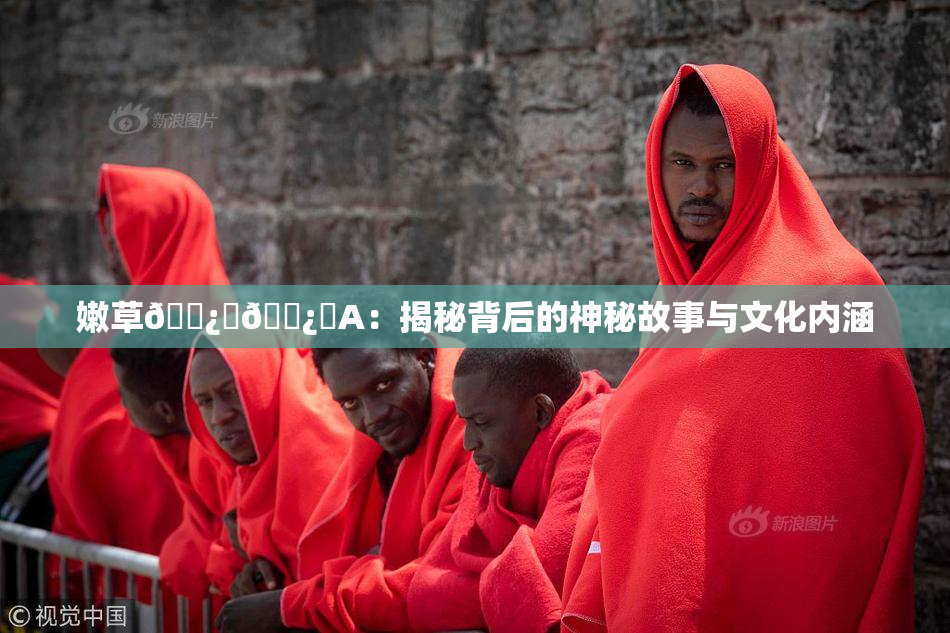 嫩草🌿‌🌿‌A：揭秘背后的神秘故事与文化内涵