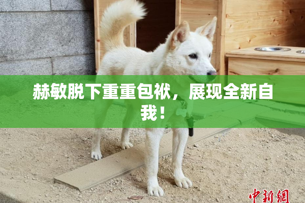 赫敏脱下重重包袱，展现全新自我！