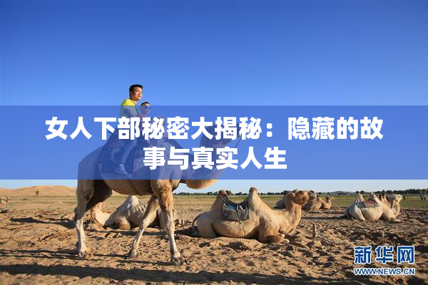 女人下部秘密大揭秘：隐藏的故事与真实人生