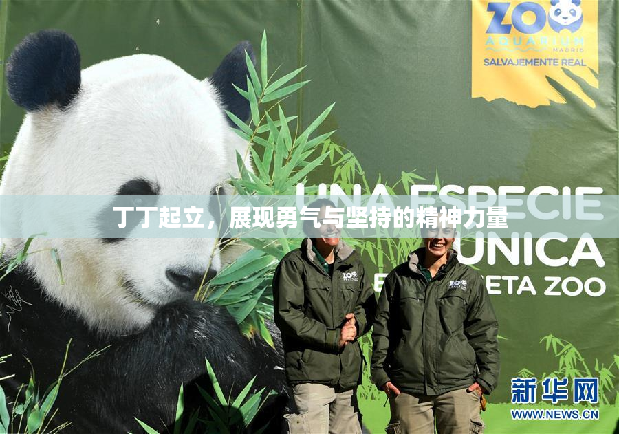 丁丁起立，展现勇气与坚持的精神力量