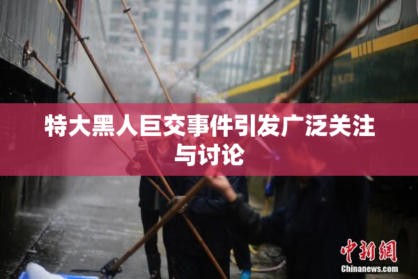 特大黑人巨交事件引发广泛关注与讨论