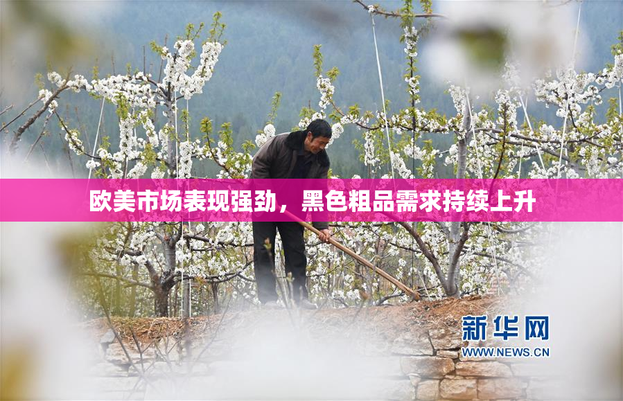 欧美市场表现强劲，黑色粗品需求持续上升