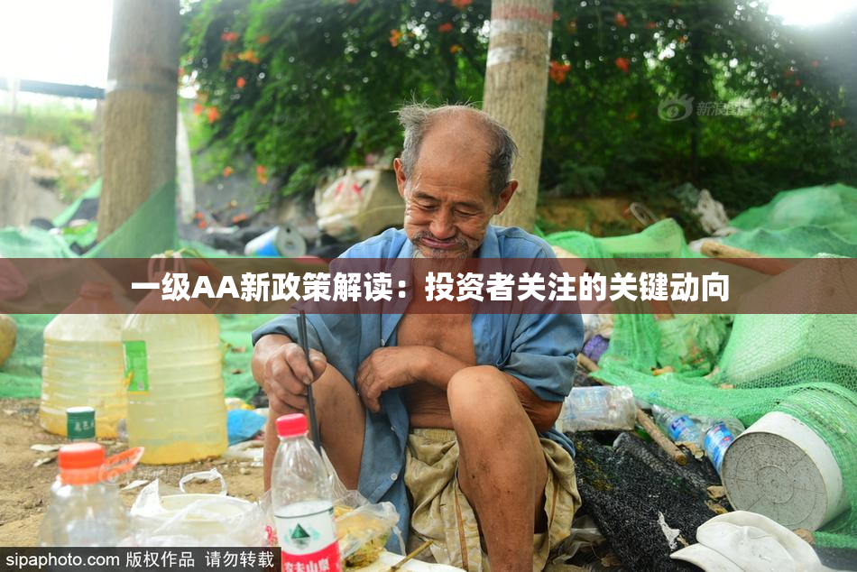 一级AA新政策解读：投资者关注的关键动向