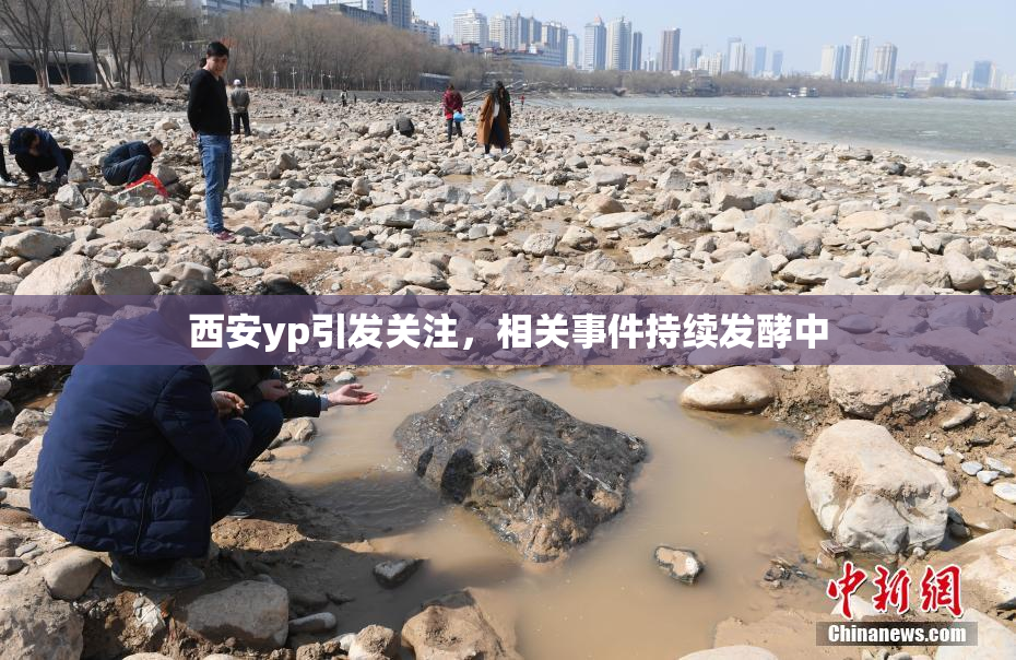 西安yp引发关注，相关事件持续发酵中