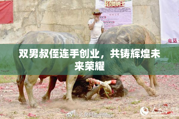 双男叔侄连手创业，共铸辉煌未来荣耀