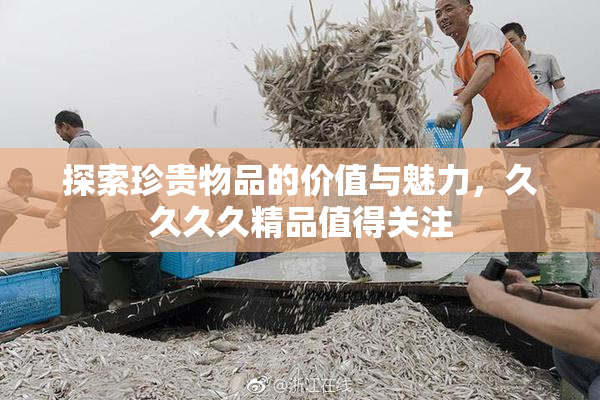 探索珍贵物品的价值与魅力，久久久久精品值得关注