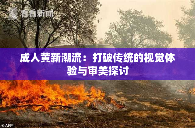 成人黄新潮流：打破传统的视觉体验与审美探讨