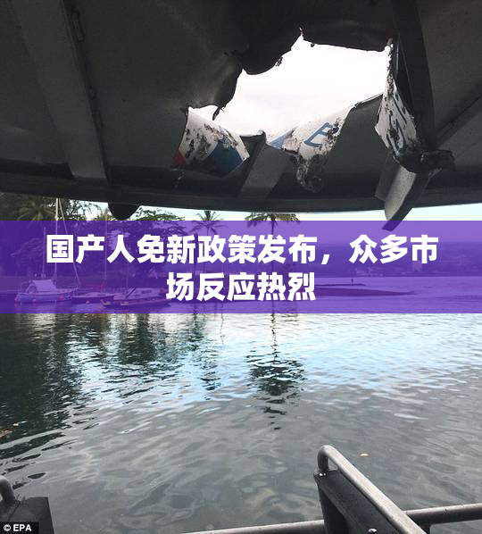 国产人免新政策发布，众多市场反应热烈