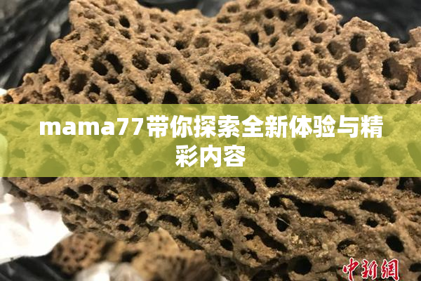 mama77带你探索全新体验与精彩内容