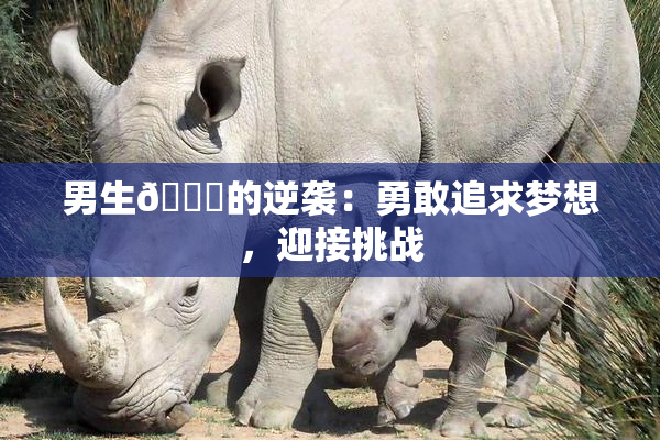 男生🔞的逆袭：勇敢追求梦想，迎接挑战