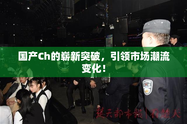 国产Ch的崭新突破，引领市场潮流变化！