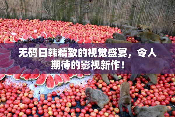 无码日韩精致的视觉盛宴，令人期待的影视新作！