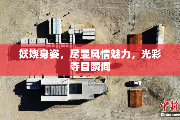 妖娆身姿，尽显风情魅力，光彩夺目瞬间