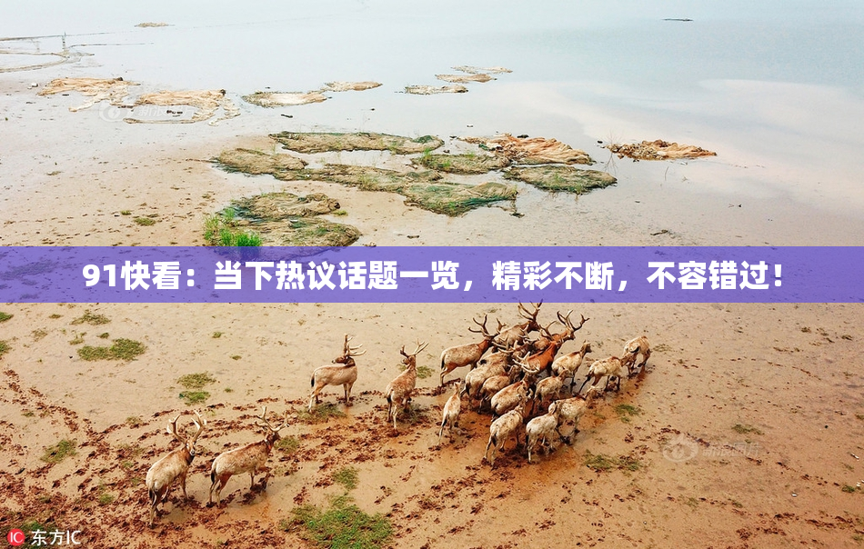 91快看：当下热议话题一览，精彩不断，不容错过！