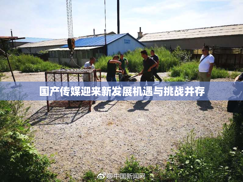 国产传媒迎来新发展机遇与挑战并存