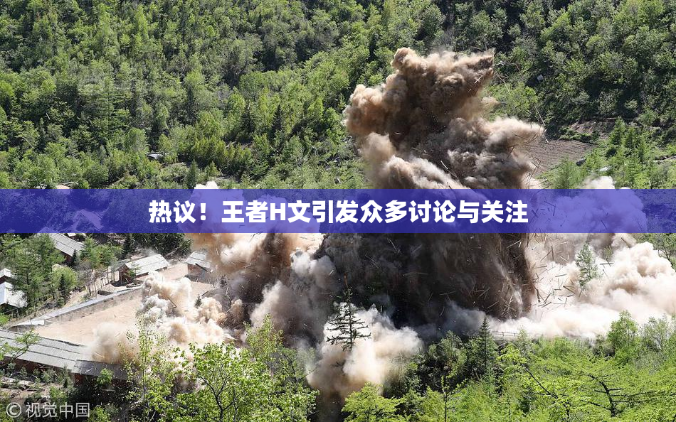 热议！王者H文引发众多讨论与关注