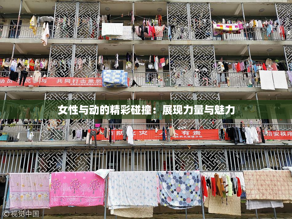 女性与动的精彩碰撞：展现力量与魅力