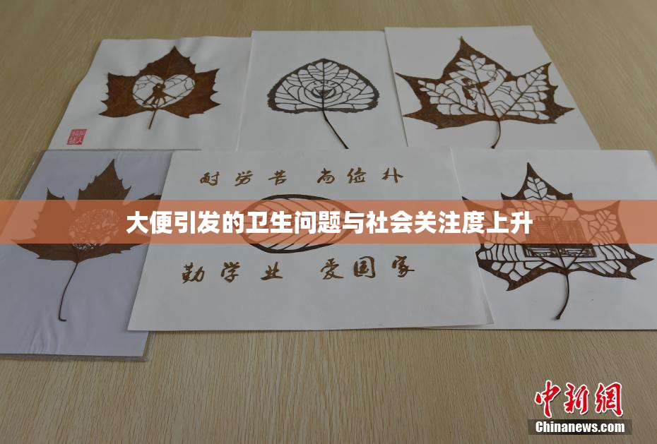 大便引发的卫生问题与社会关注度上升