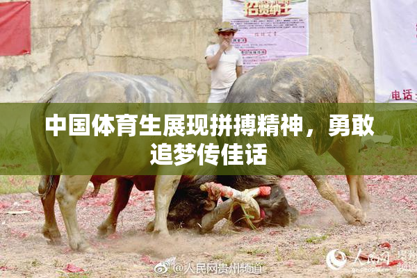中国体育生展现拼搏精神，勇敢追梦传佳话