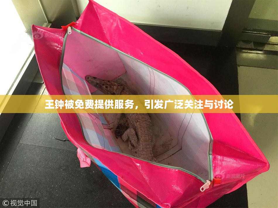 王钟被免费提供服务，引发广泛关注与讨论