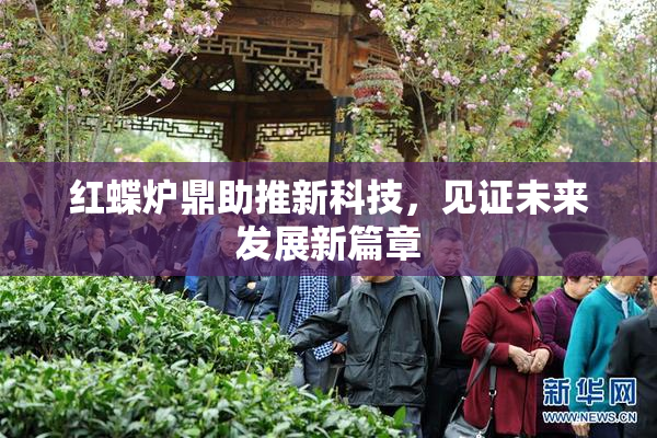 红蝶炉鼎助推新科技，见证未来发展新篇章