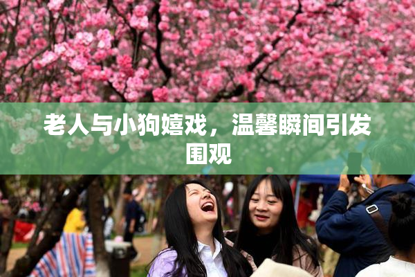 老人与小狗嬉戏，温馨瞬间引发围观