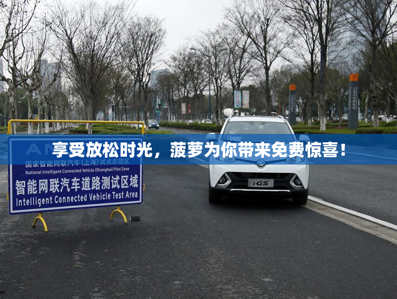 享受放松时光，菠萝为你带来免费惊喜！