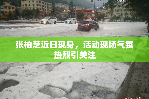 张柏芝近日现身，活动现场气氛热烈引关注