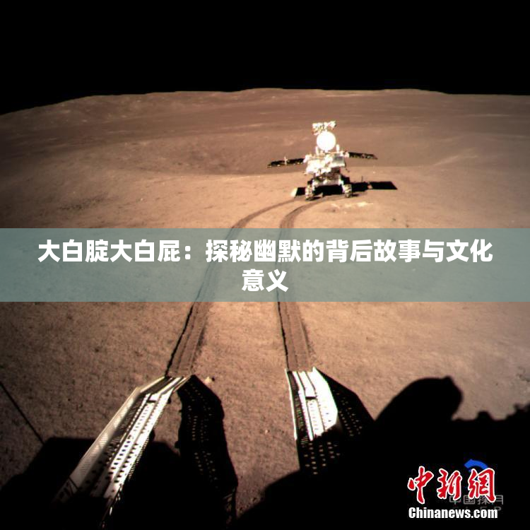 大白腚大白屁：探秘幽默的背后故事与文化意义