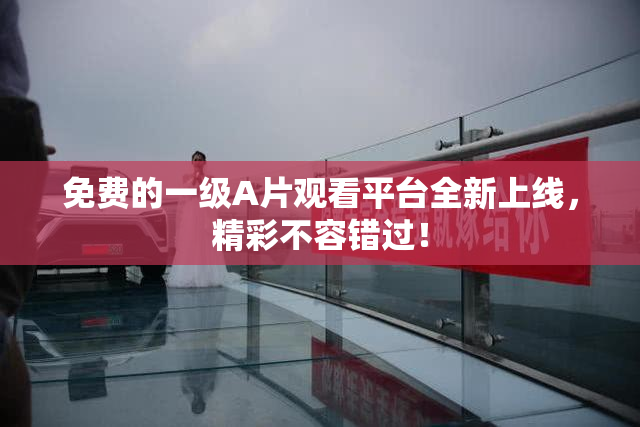 免费的一级A片观看平台全新上线，精彩不容错过！