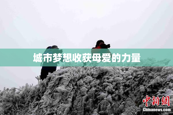 城市梦想收获母爱的力量
