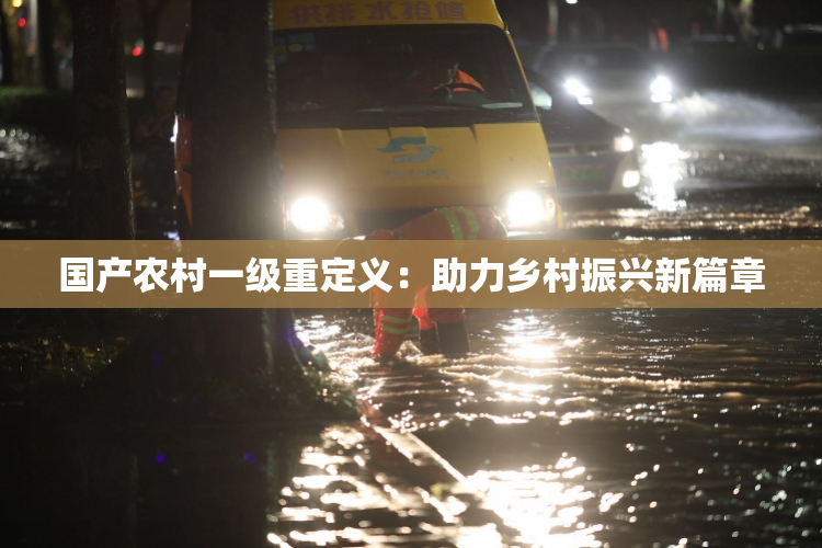 国产农村一级重定义：助力乡村振兴新篇章