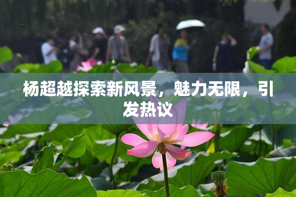 杨超越探索新风景，魅力无限，引发热议