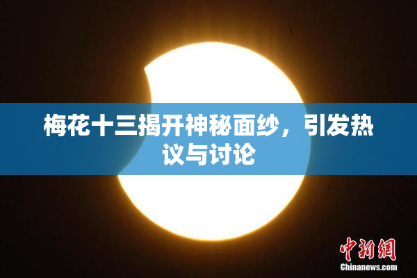 梅花十三揭开神秘面纱，引发热议与讨论