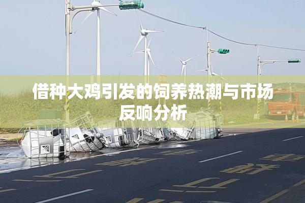借种大鸡引发的饲养热潮与市场反响分析