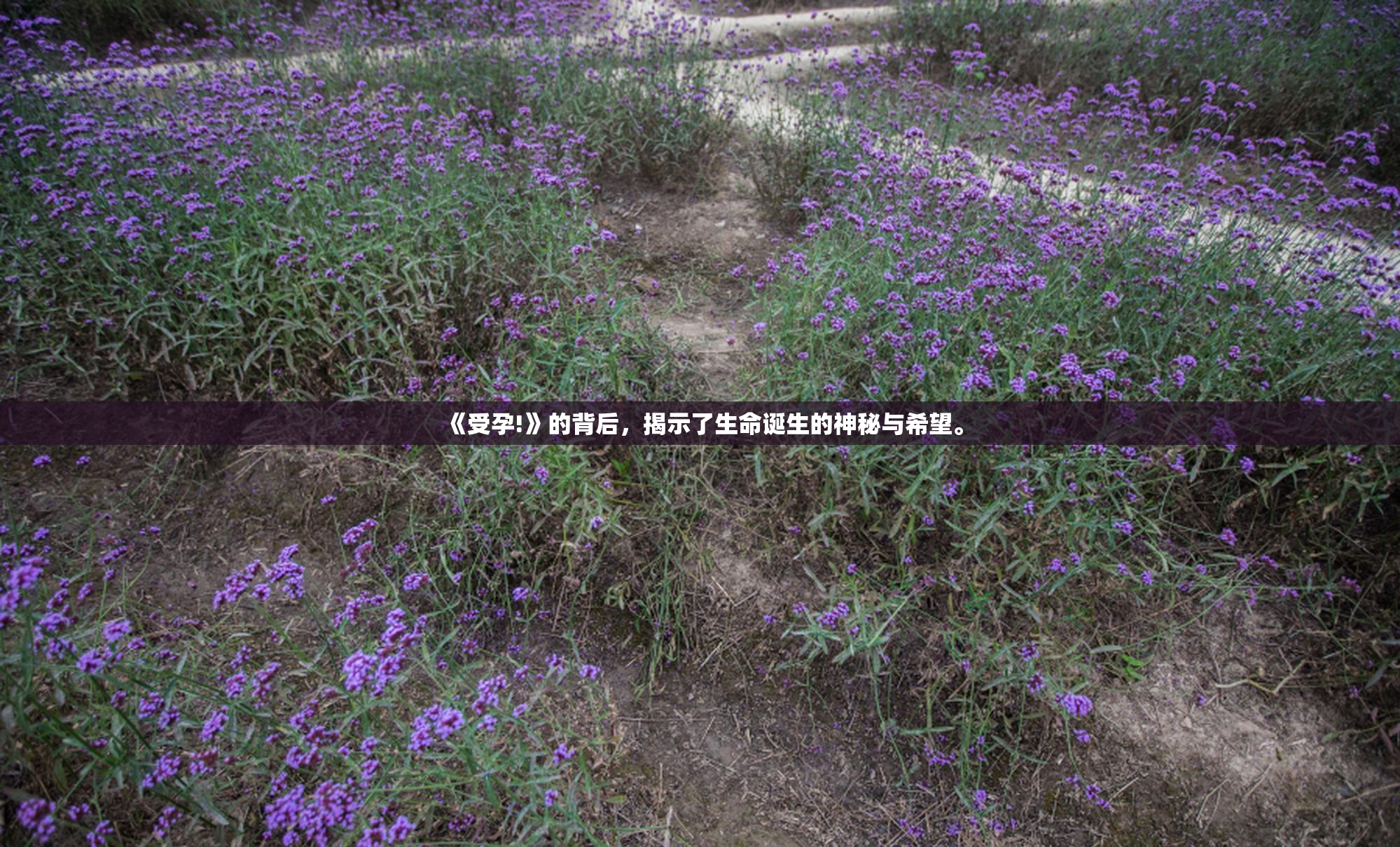 《受孕!》的背后，揭示了生命诞生的神秘与希望。