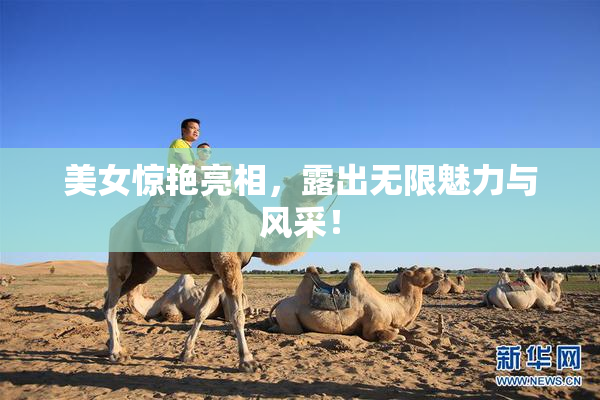 美女惊艳亮相，露出无限魅力与风采！