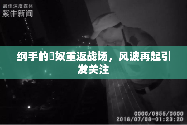 纲手的婬奴重返战场，风波再起引发关注