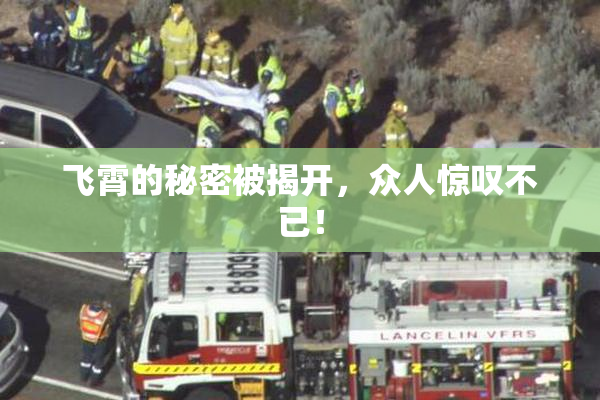 飞霄的秘密被揭开，众人惊叹不已！