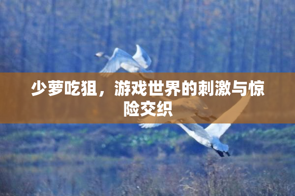 少萝吃狙，游戏世界的刺激与惊险交织