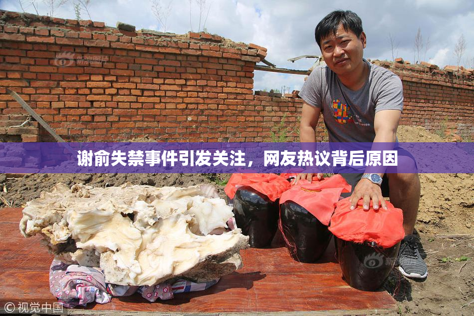 谢俞失禁事件引发关注，网友热议背后原因