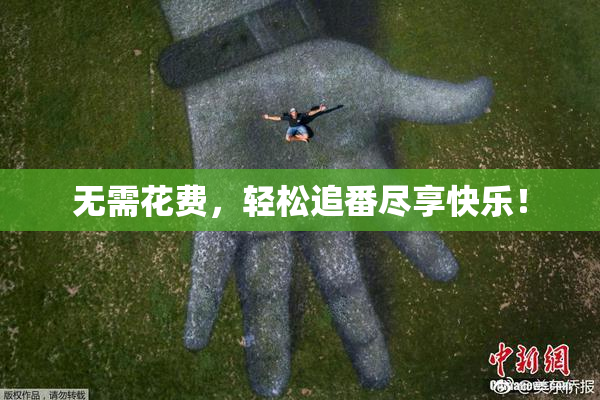 无需花费，轻松追番尽享快乐！