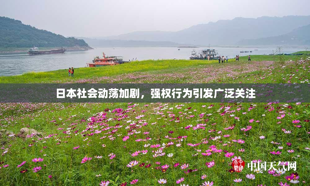 日本社会动荡加剧，强权行为引发广泛关注