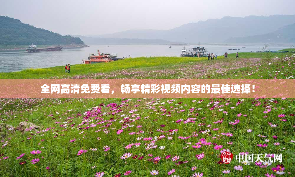 全网高清免费看，畅享精彩视频内容的最佳选择！